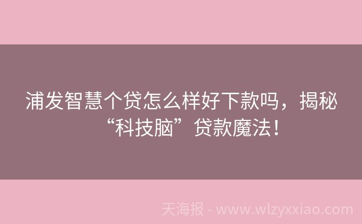 浦发智慧个贷怎么样好下款吗，揭秘“科技脑”贷款魔法！