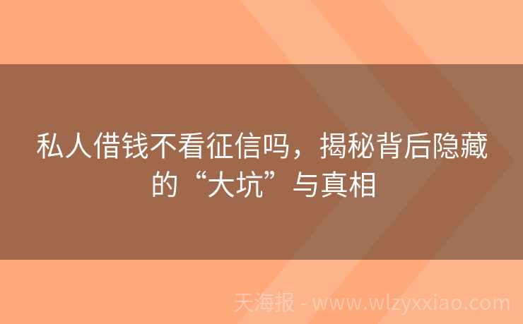 私人借钱不看征信吗，揭秘背后隐藏的“大坑”与真相