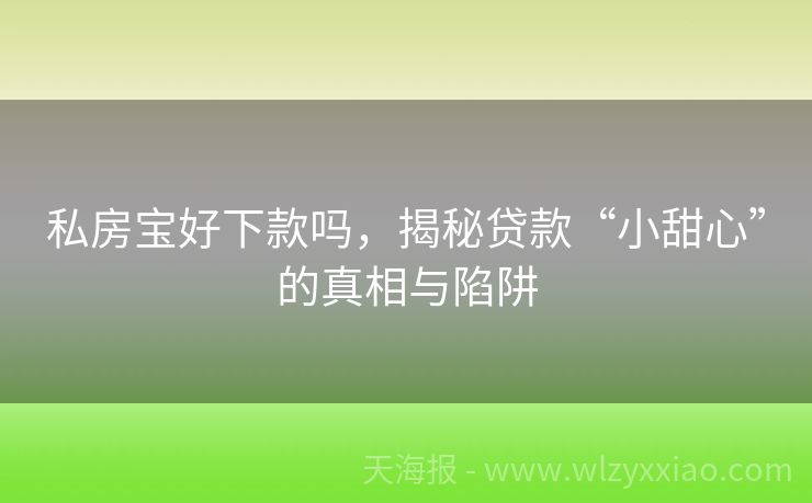 私房宝好下款吗，揭秘贷款“小甜心”的真相与陷阱
