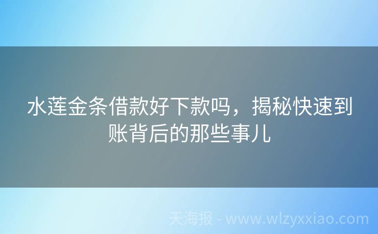 水莲金条借款好下款吗，揭秘快速到账背后的那些事儿
