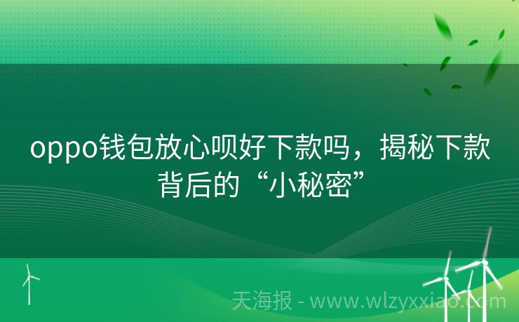 oppo钱包放心呗好下款吗，揭秘下款背后的“小秘密”