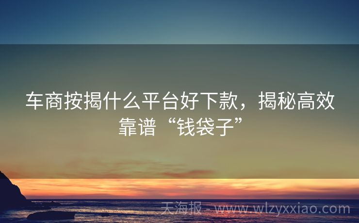 车商按揭什么平台好下款，揭秘高效靠谱“钱袋子”