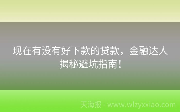 现在有没有好下款的贷款，金融达人揭秘避坑指南！