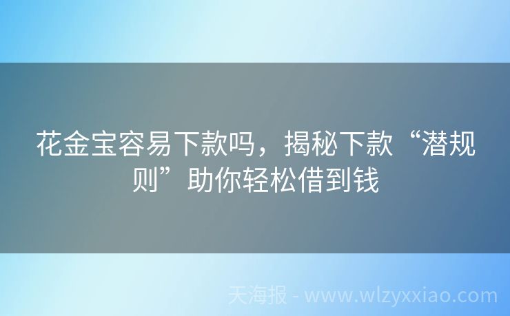 花金宝容易下款吗，揭秘下款“潜规则”助你轻松借到钱