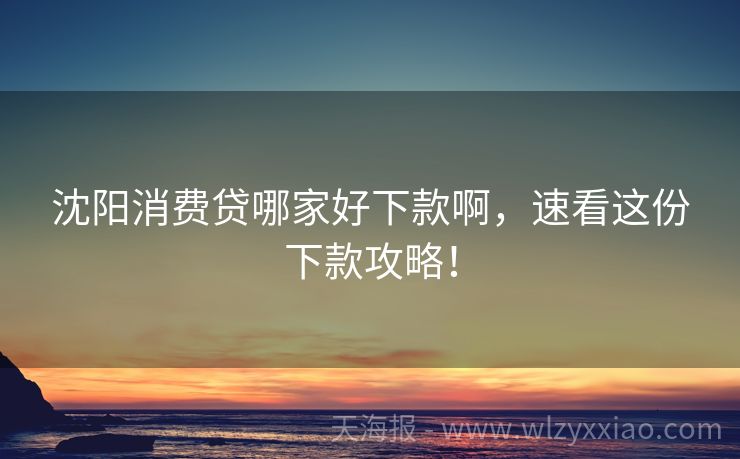 沈阳消费贷哪家好下款啊，速看这份下款攻略！