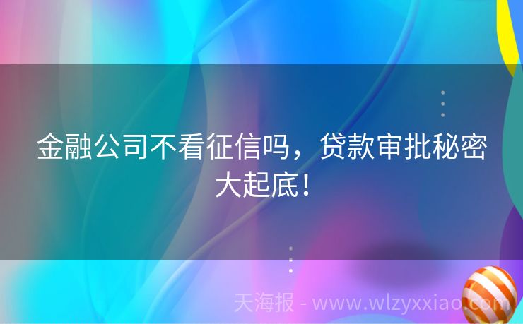 金融公司不看征信吗，贷款审批秘密大起底！