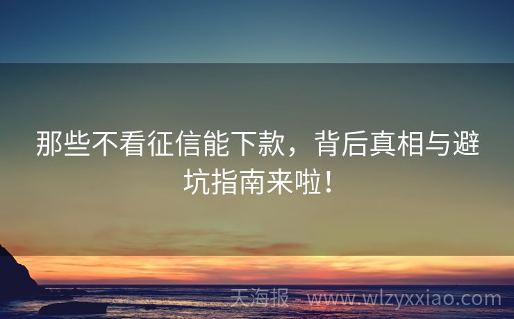 那些不看征信能下款，背后真相与避坑指南来啦！