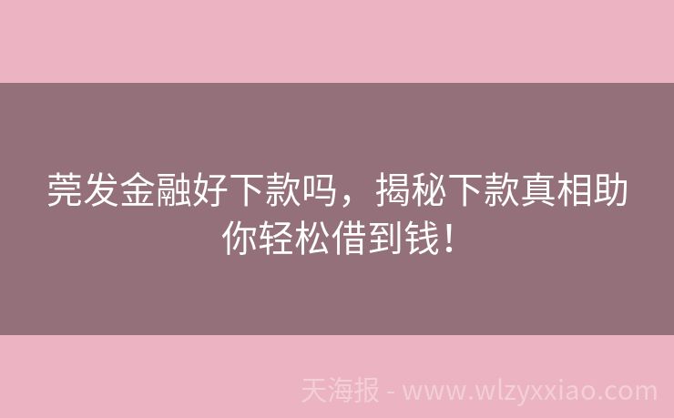 莞发金融好下款吗，揭秘下款真相助你轻松借到钱！
