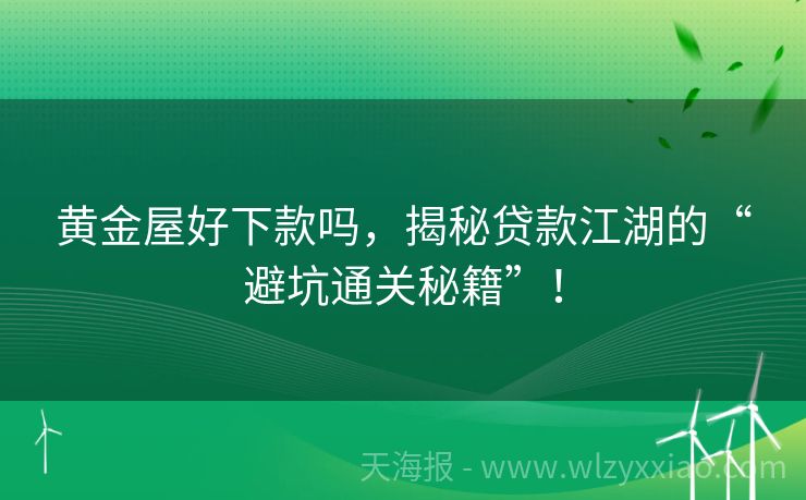 黄金屋好下款吗，揭秘贷款江湖的“避坑通关秘籍”！