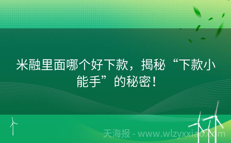 米融里面哪个好下款，揭秘“下款小能手”的秘密！