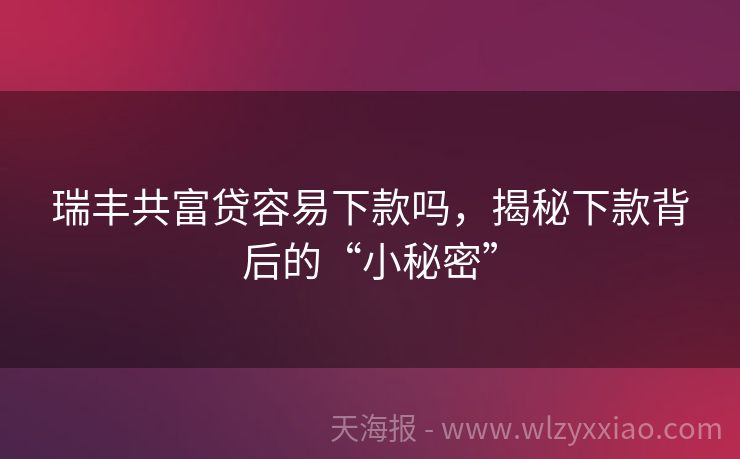 瑞丰共富贷容易下款吗，揭秘下款背后的“小秘密”