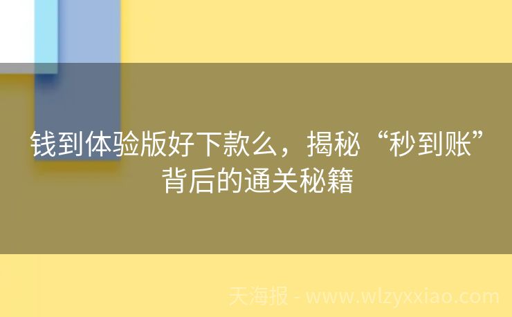 钱到体验版好下款么，揭秘“秒到账”背后的通关秘籍