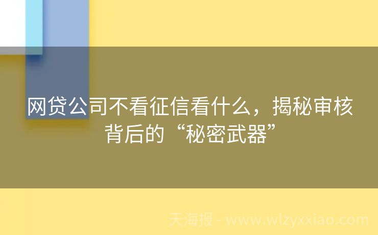 网贷公司不看征信看什么，揭秘审核背后的“秘密武器”