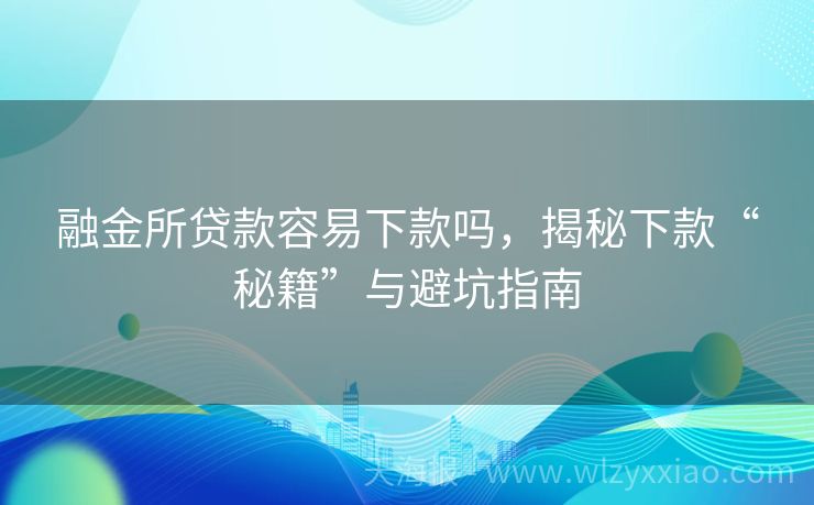 融金所贷款容易下款吗，揭秘下款“秘籍”与避坑指南