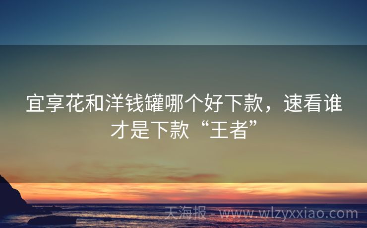 宜享花和洋钱罐哪个好下款，速看谁才是下款“王者”