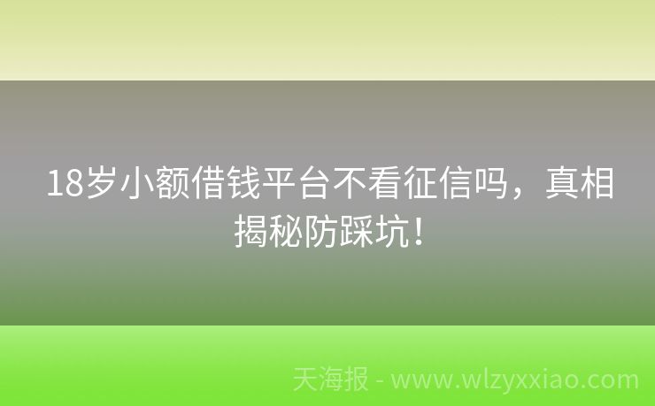 18岁小额借钱平台不看征信吗，真相揭秘防踩坑！