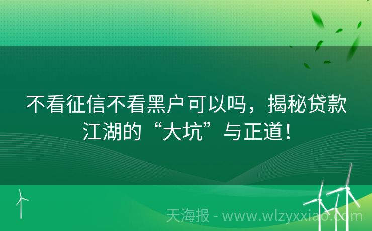 不看征信不看黑户可以吗，揭秘贷款江湖的“大坑”与正道！