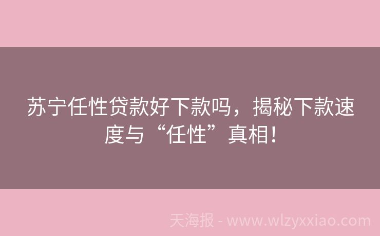 苏宁任性贷款好下款吗，揭秘下款速度与“任性”真相！