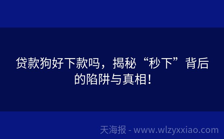 贷款狗好下款吗，揭秘“秒下”背后的陷阱与真相！