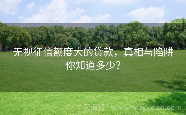 无视征信额度大的贷款，真相与陷阱你知道多少？