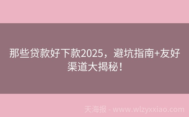 那些贷款好下款2025，避坑指南+友好渠道大揭秘！