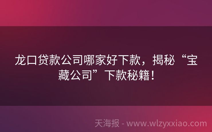 龙口贷款公司哪家好下款，揭秘“宝藏公司”下款秘籍！