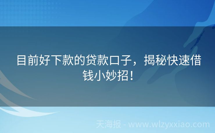 目前好下款的贷款口子，揭秘快速借钱小妙招！