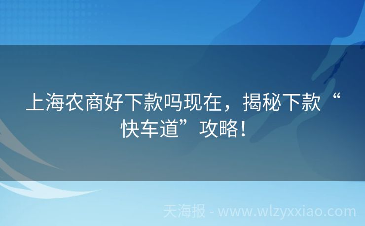 上海农商好下款吗现在，揭秘下款“快车道”攻略！