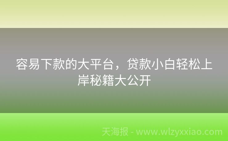 容易下款的大平台，贷款小白轻松上岸秘籍大公开