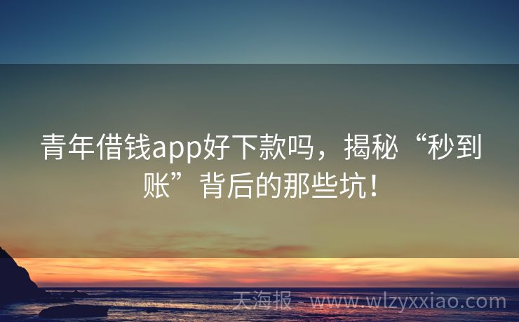 青年借钱app好下款吗，揭秘“秒到账”背后的那些坑！