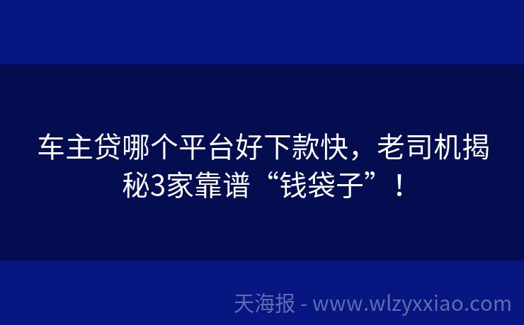 车主贷哪个平台好下款快，老司机揭秘3家靠谱“钱袋子”！