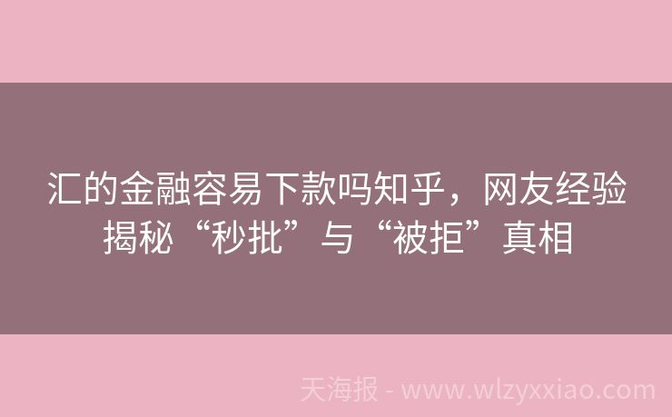 汇的金融容易下款吗知乎，网友经验揭秘“秒批”与“被拒”真相