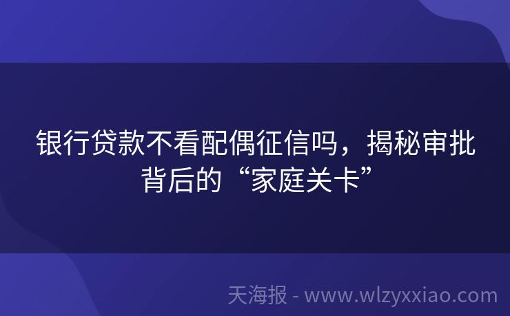 银行贷款不看配偶征信吗，揭秘审批背后的“家庭关卡”