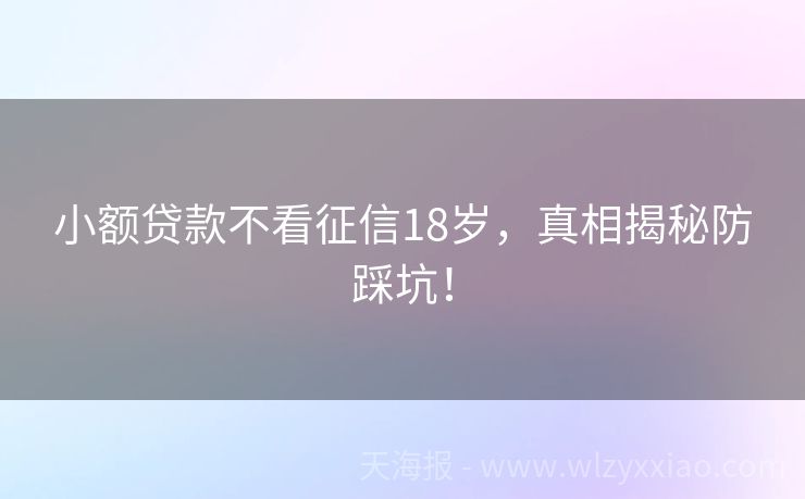 小额贷款不看征信18岁，真相揭秘防踩坑！