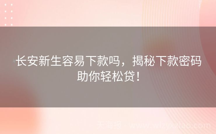 长安新生容易下款吗，揭秘下款密码助你轻松贷！