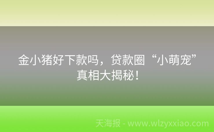 金小猪好下款吗，贷款圈“小萌宠”真相大揭秘！