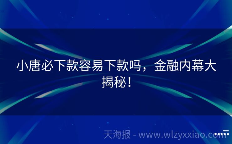 小唐必下款容易下款吗，金融内幕大揭秘！