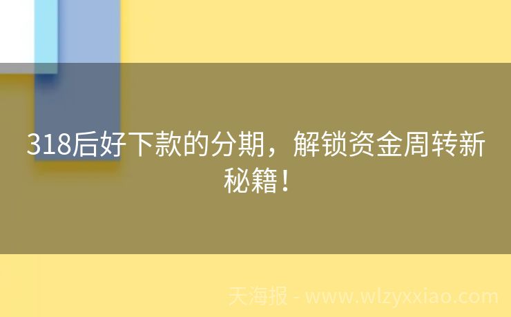 318后好下款的分期，解锁资金周转新秘籍！