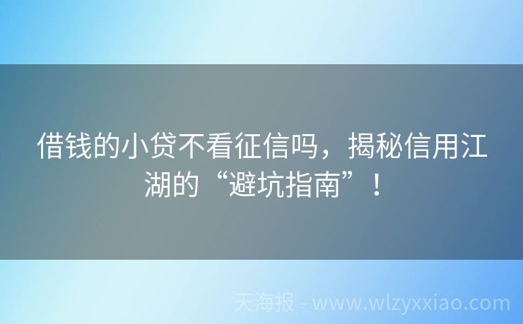 借钱的小贷不看征信吗，揭秘信用江湖的“避坑指南”！