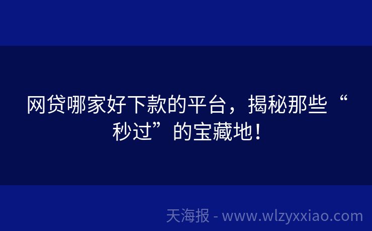 网贷哪家好下款的平台，揭秘那些“秒过”的宝藏地！