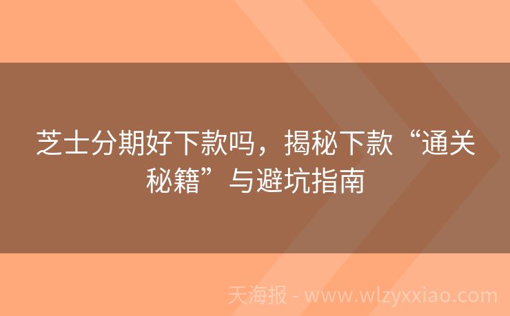 芝士分期好下款吗，揭秘下款“通关秘籍”与避坑指南