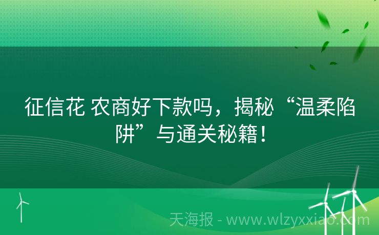 征信花 农商好下款吗，揭秘“温柔陷阱”与通关秘籍！