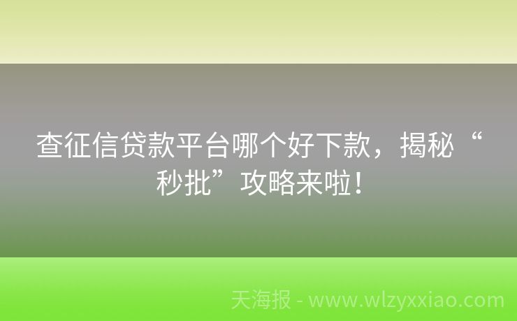 查征信贷款平台哪个好下款，揭秘“秒批”攻略来啦！