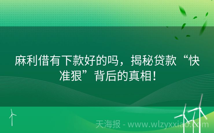 麻利借有下款好的吗，揭秘贷款“快准狠”背后的真相！