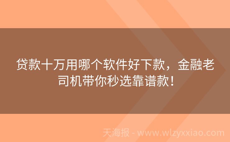 贷款十万用哪个软件好下款，金融老司机带你秒选靠谱款！