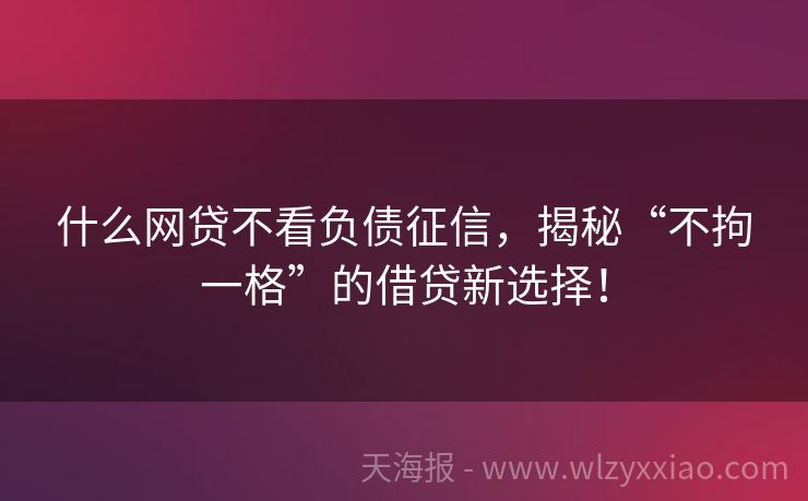 什么网贷不看负债征信，揭秘“不拘一格”的借贷新选择！