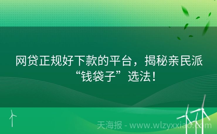 网贷正规好下款的平台，揭秘亲民派“钱袋子”选法！