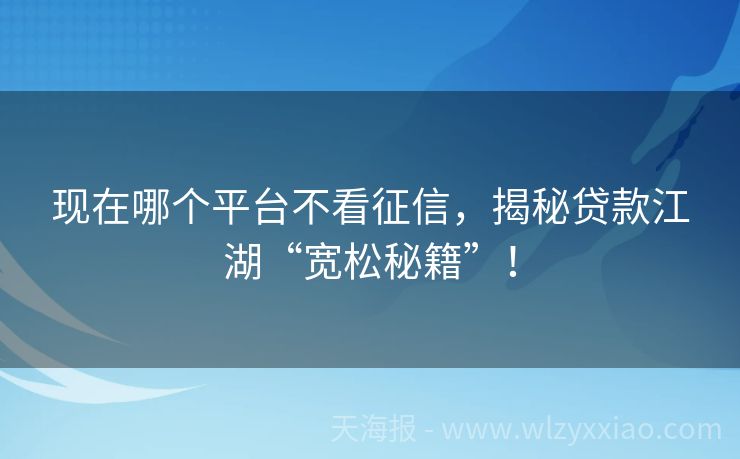 现在哪个平台不看征信，揭秘贷款江湖“宽松秘籍”！