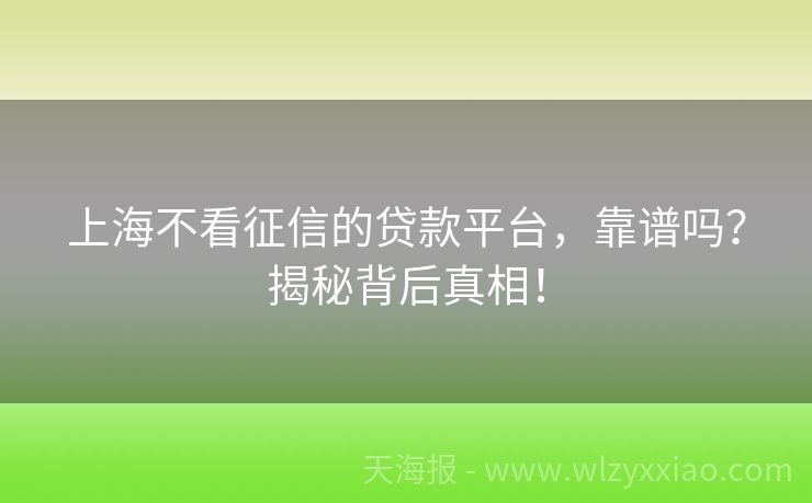 上海不看征信的贷款平台，靠谱吗？揭秘背后真相！