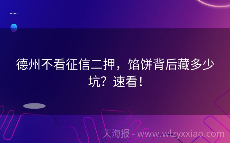 德州不看征信二押，馅饼背后藏多少坑？速看！